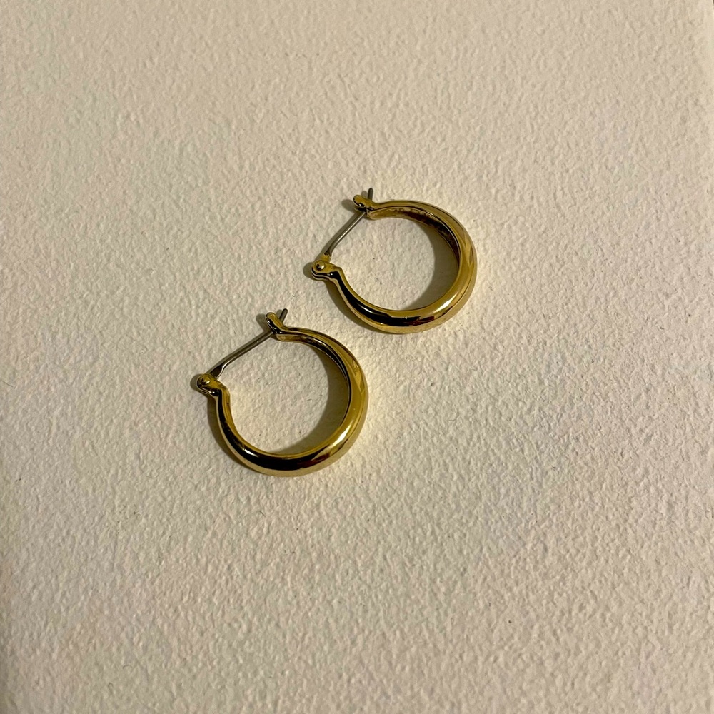 Ana Luisa Venus Earrings